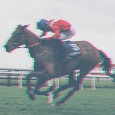 𝕴𝖌𝖓𝖔𝖗𝖊 𝖆𝖙 𝖞𝖔𝖚𝖗 𝖕𝖊𝖗𝖎𝖑 ⛈️ Infamously tipped Celerity to break her maiden on her 106th attempt 🏇Always the Storylines 📰 https://t.co/nIH9DpP0Nf