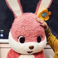 あやっぺ (@ebi_0007) Twitter profile photo