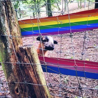 Medizinstudentin, Krankenpflegerin, Mensch. 🏳️‍🌈 Am Rande des Wahnsinns, den Kopf in den Wolken. #Twehefrau von @unseendave