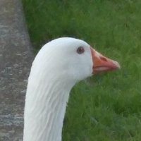 Jordi Armadans (@jordiarmadans) 's Twitter Profile