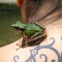 June Rubis, PhD 🦧 (@junerubis) 's Twitter Profile