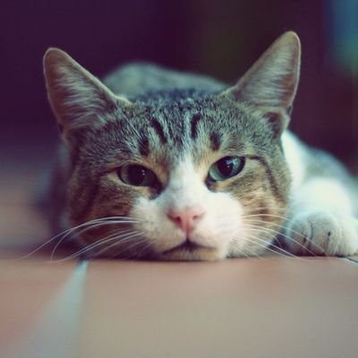 V_Karunakaran's profile picture. 