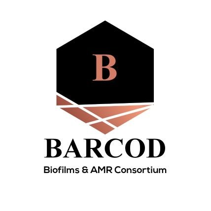 BARCOD is a consortium of experts working on biofilms and antimicrobial resistance, funded by @GCRF, @acmedsci Academy of Medical Sciences, UK