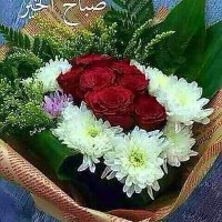 موجب سوداني (@mkimbheco4lz2vh) 's Twitter Profile