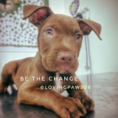 Three beautiful words: Be the change 💞 You can build a better world if you start today 🙏🏻