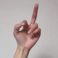 ペぺ (@peperonjunk) 's Twitter Profile