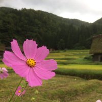 タケ (@taketake_jr) 's Twitter Profile