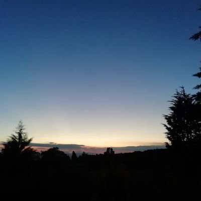 andrid_carol's profile picture. AG - Publicista - Medios 
                         ✌️

 "Ser libre hoy, es estar informado" (Menager)