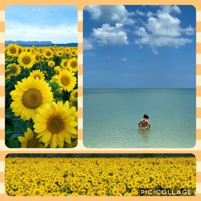 lunaescarola's profile picture. Me gustaría pasar el resto de mi vida con alguien que no me necesite  para nada pero me quiera para todo. Benedetti