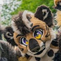 Mifflin (@cheetalot) 's Twitter Profile