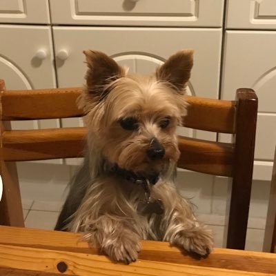 ruforufor's profile picture. La naturaleza, la ingeniería y el ocio, pero sobretodo la curiosidad