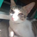 Ron Earl - @RonEarl14 - Twitter