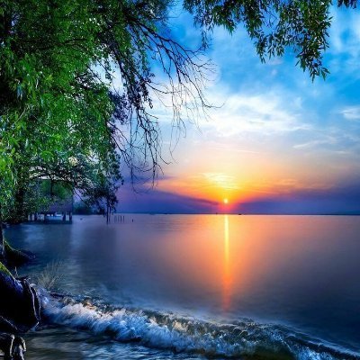 jjsezr's profile picture. 