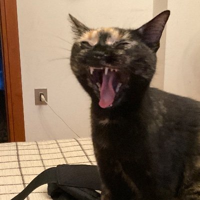 MiAOX5_'s profile picture. Nato il giorno in cui morì Tina Modotti e nell'anno in cui mori Ernesto Guevara. Mi piace fotografare BELLE ragazze! ;-)