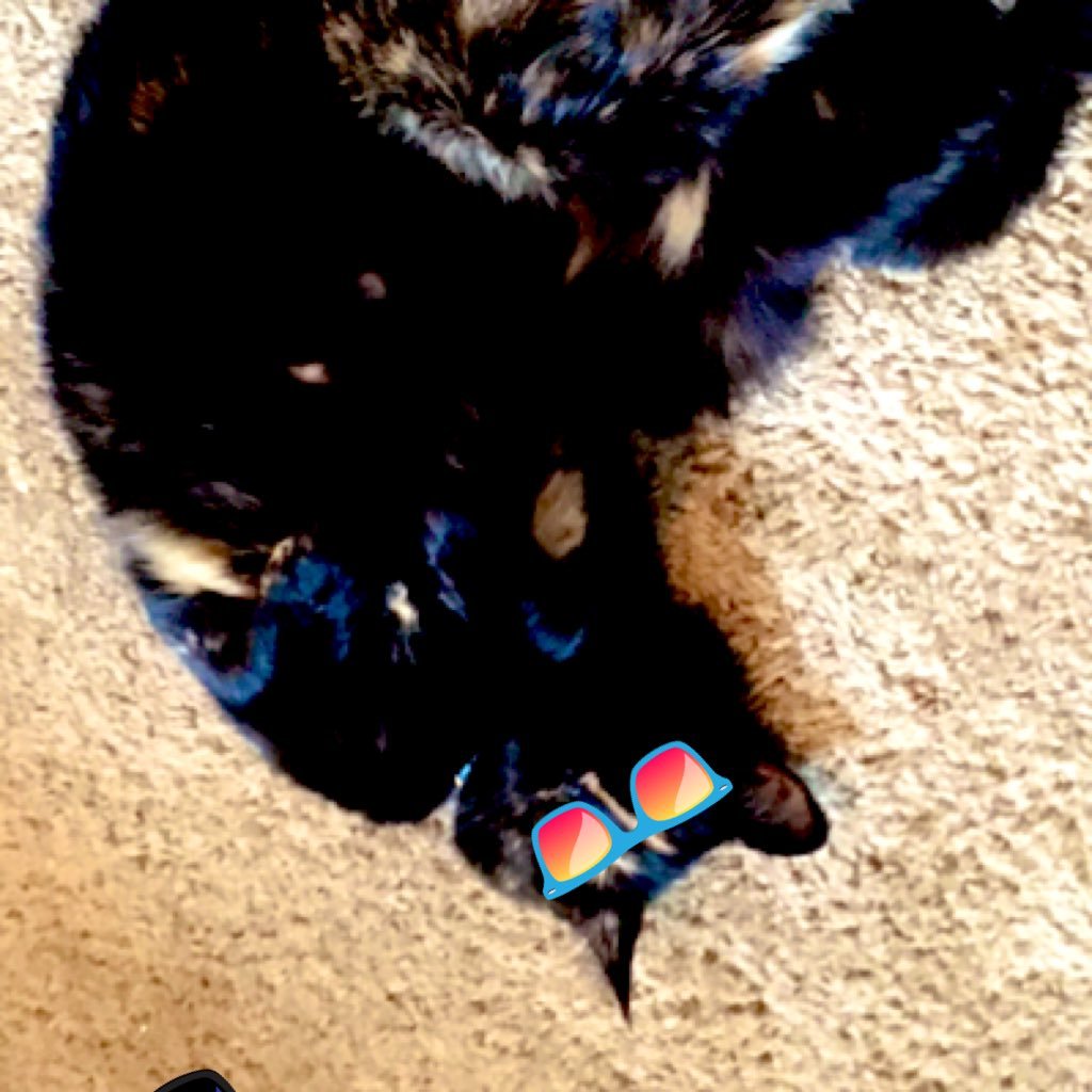 MeredithWalburn's profile picture. CHHS 23🎓 UMW 27