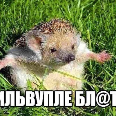 zanoza011's profile picture. 