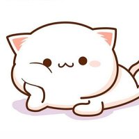 β’ππͺπΎπ»πͺ β’ (@lauuu_plh) 's Twitter Profile