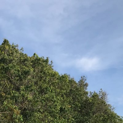 life09594818's profile picture. 