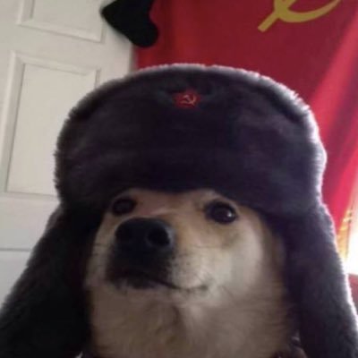 RUSSIANMEMES9's profile picture. Своё, родное