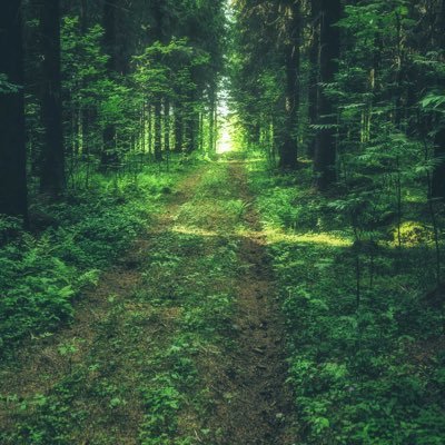 chris89854492's profile picture. LGBTQ