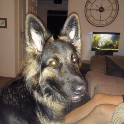 tinasherratt1's profile picture. 