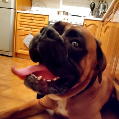 NSCAS1's profile picture. 