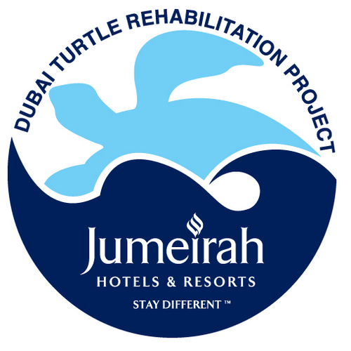 The DTRP rehabilitates sick or injured sea turtles. Anyone finding a sick or injured turtle should call the Burj Al Arab Aquarium team on +97143017198