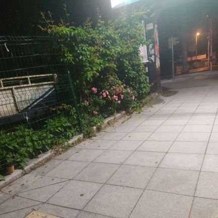 betros34's profile picture. 