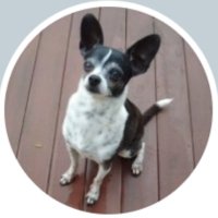 Lucy B (@lucyb_tacos) 's Twitter Profile
