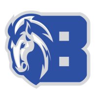 Bane Elementary(@BaneElementary) 's Twitter Profile Photo