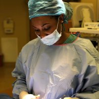 Surgeon in the Yellow Boots (@primrhose_abk) 's Twitter Profile