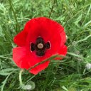 Mandy Fitzpatrick - @MandyFi70541941 - Twitter