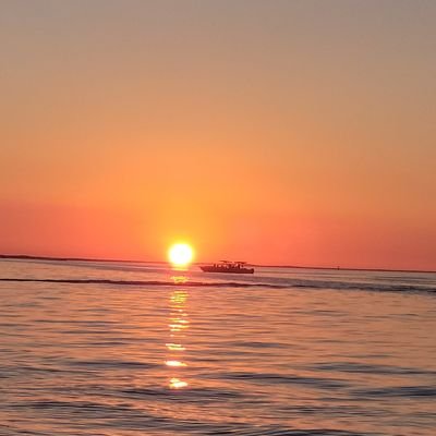 Karina86613733's profile picture. 