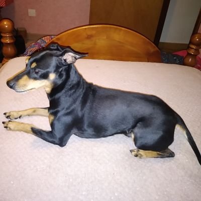 ElodieCarrion's profile picture. It only takes a smile for the soul to enter the palace of dreams 🇺🇸
Il suffit d'un sourire pour que l'âme entre dans le palais des rêves 🇫🇷
Victor Hugo