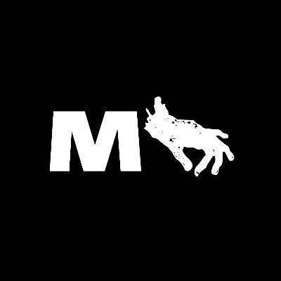 Elevating genre storytelling through diverse, epic and fun film & television. GET OUT, US, BLACKKKLANSMAN, CANDYMAN, NOPE, HONK, WENDELL & WILD.