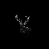 𝗦𝗮𝘆𝗲𝗱 𝗔𝗹𝗶. (@s_alialawi_) Twitter profile photo