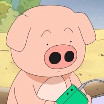 RectangularPig's profile picture. 