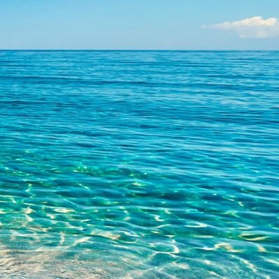 Hello2051801580's profile picture. 