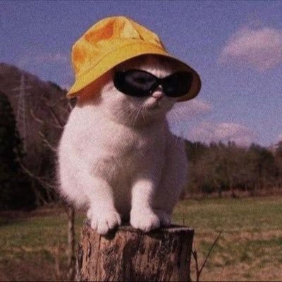 Mah_322's profile picture. No Twitter bio.