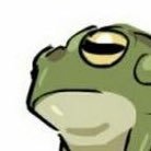 IndifferentFrog's profile picture. Amphibious.
