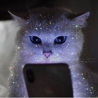 ✨Patty🖤✨ (@atymuak) 's Twitter Profile