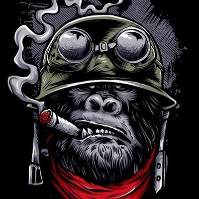 nielmhine's profile picture. 