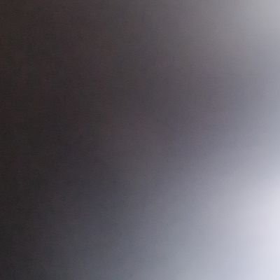 Damien Borg Profile