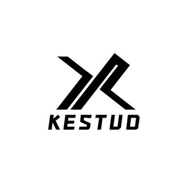 Kestuo has been focusing on the Drone and R/C toys market for more than 9 years, servicing many customers, OEM /ODM both supportable and achieving a lot good.