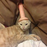 justforfun (@hottsclips) 's Twitter Profile Photo justforfun (@hottsclips) 's Twitter Profile Photo