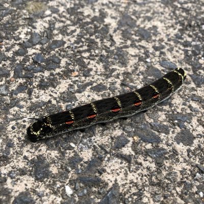 CW94UHstX6qOSLs's profile picture. 日々のあれこれを呟く。ちらうら！