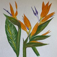 ultramagaKK (@karenkoenigs) 's Twitter Profile