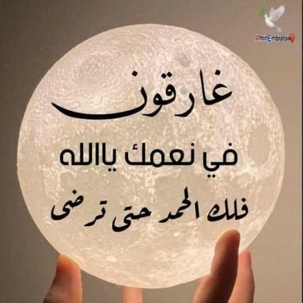 qvyooEYG4enowY0's profile picture. عمار الخنقي