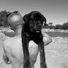 Didou_fr_'s profile picture. "Le début d'une révolution est, en réalité, la fin d'une croyance. " Gustave Le Bon #bitcoin