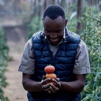 Cde Farmer William (@williammadudike) 's Twitter Profile Photo Cde Farmer William (@williammadudike) 's Twitter Profile Photo